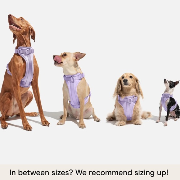 Wild One Dog Harness - Moss Green | Limited Edition | Size S | NWT - Picture 6 of 8